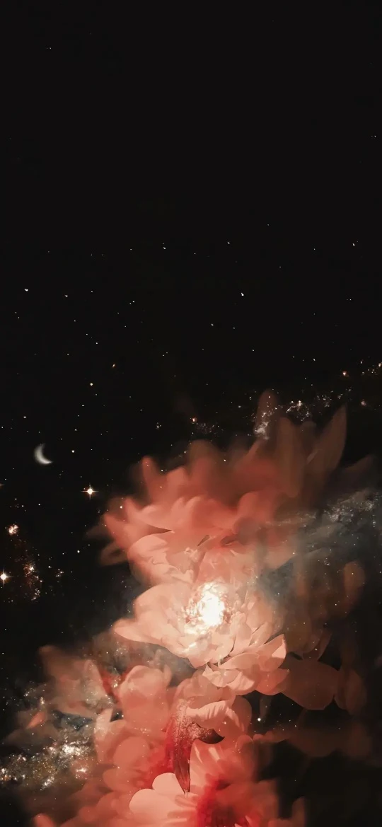 纯黑夜空粉牡丹弯月星光朦胧高级 4K 花卉星空壁纸