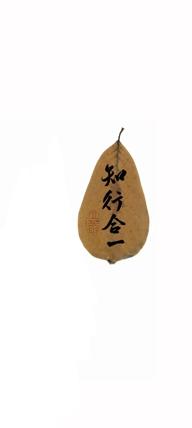 纯白极简留白枯叶行书知行合一红印高级国风壁纸