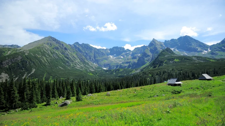 翠绿山谷松林山间小屋蓝天风景摄影