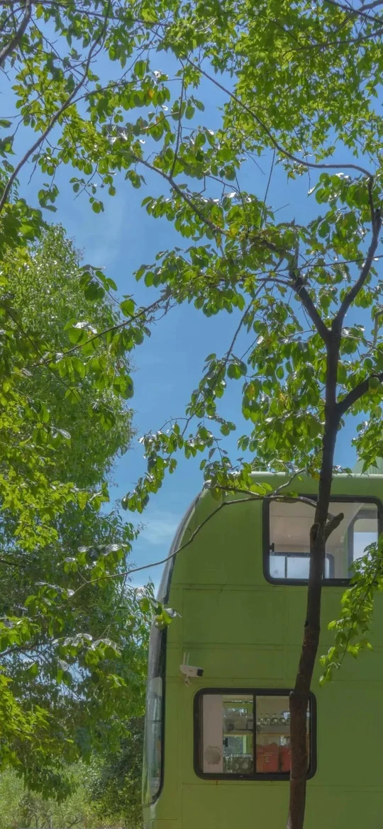 晴日绿叶环绕淡绿双层巴士清新治愈竖版夏日风景壁纸