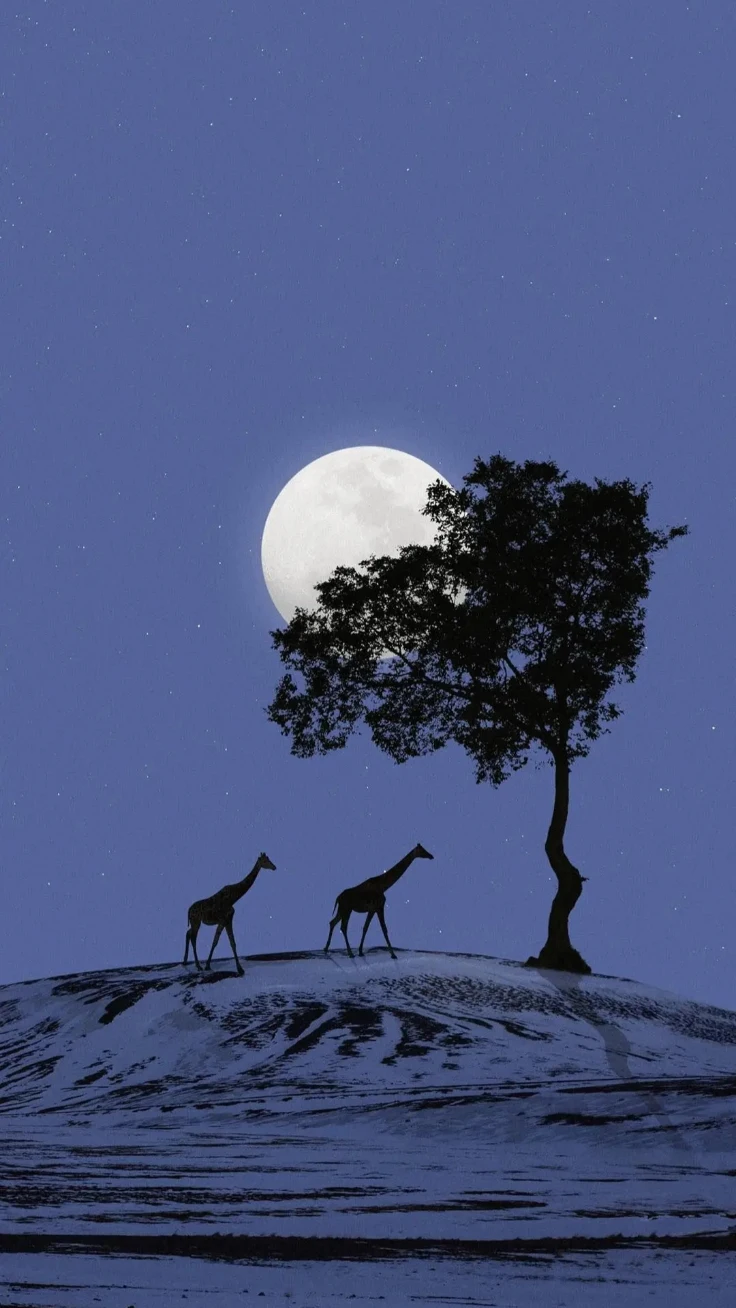 月夜雪地孤树长颈鹿剪影静谧蓝调夜空风景