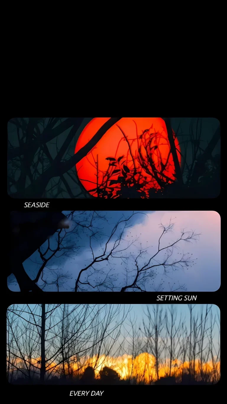 黑背景三格拼接残枝落日晚霞文艺风景