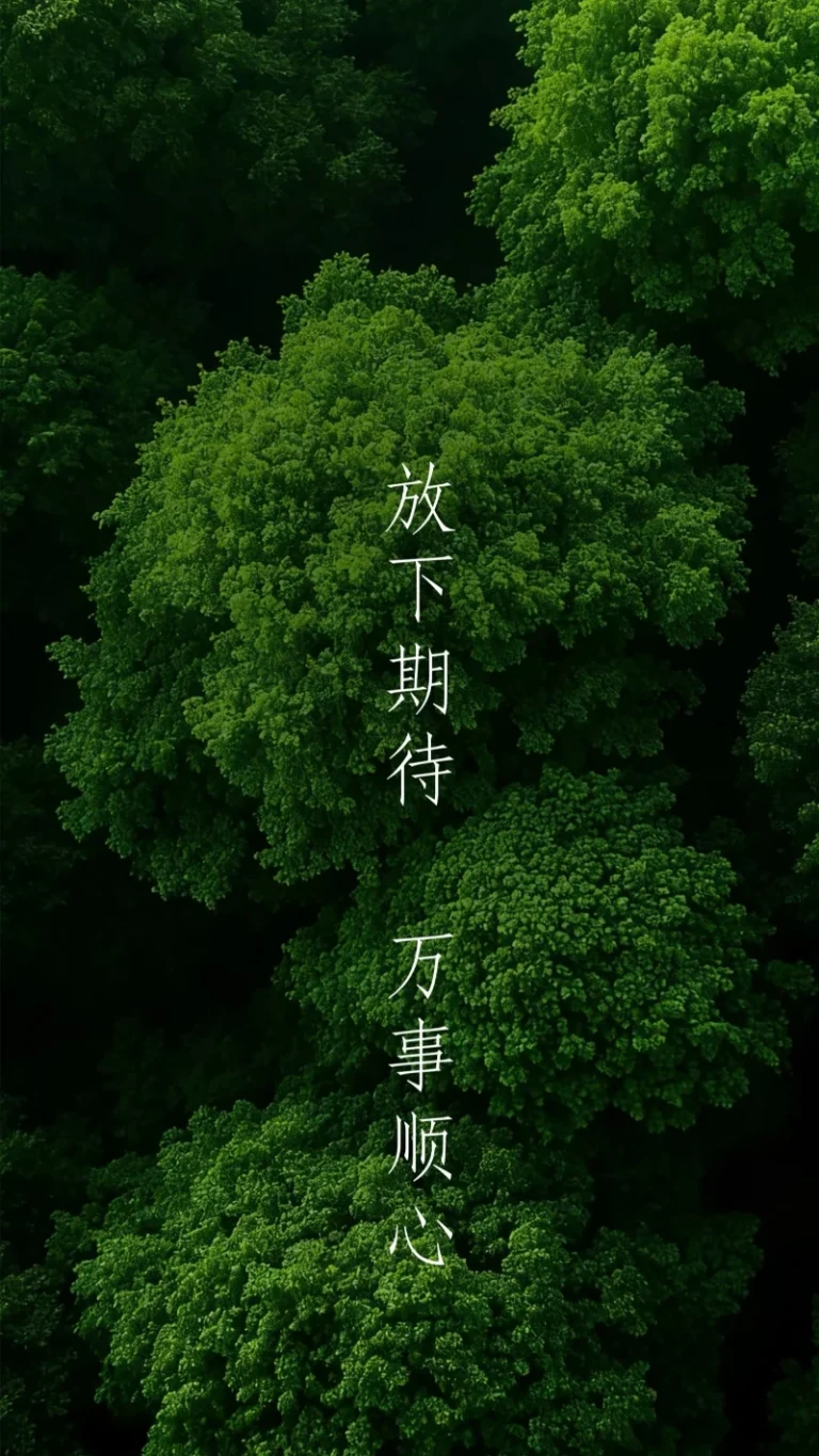 绿意森林放下期待万事顺心文字壁纸