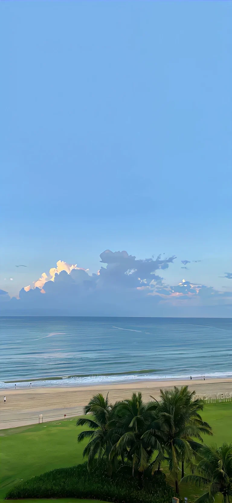 高空俯瞰沙滩椰树海面清新治愈海滨竖版风景