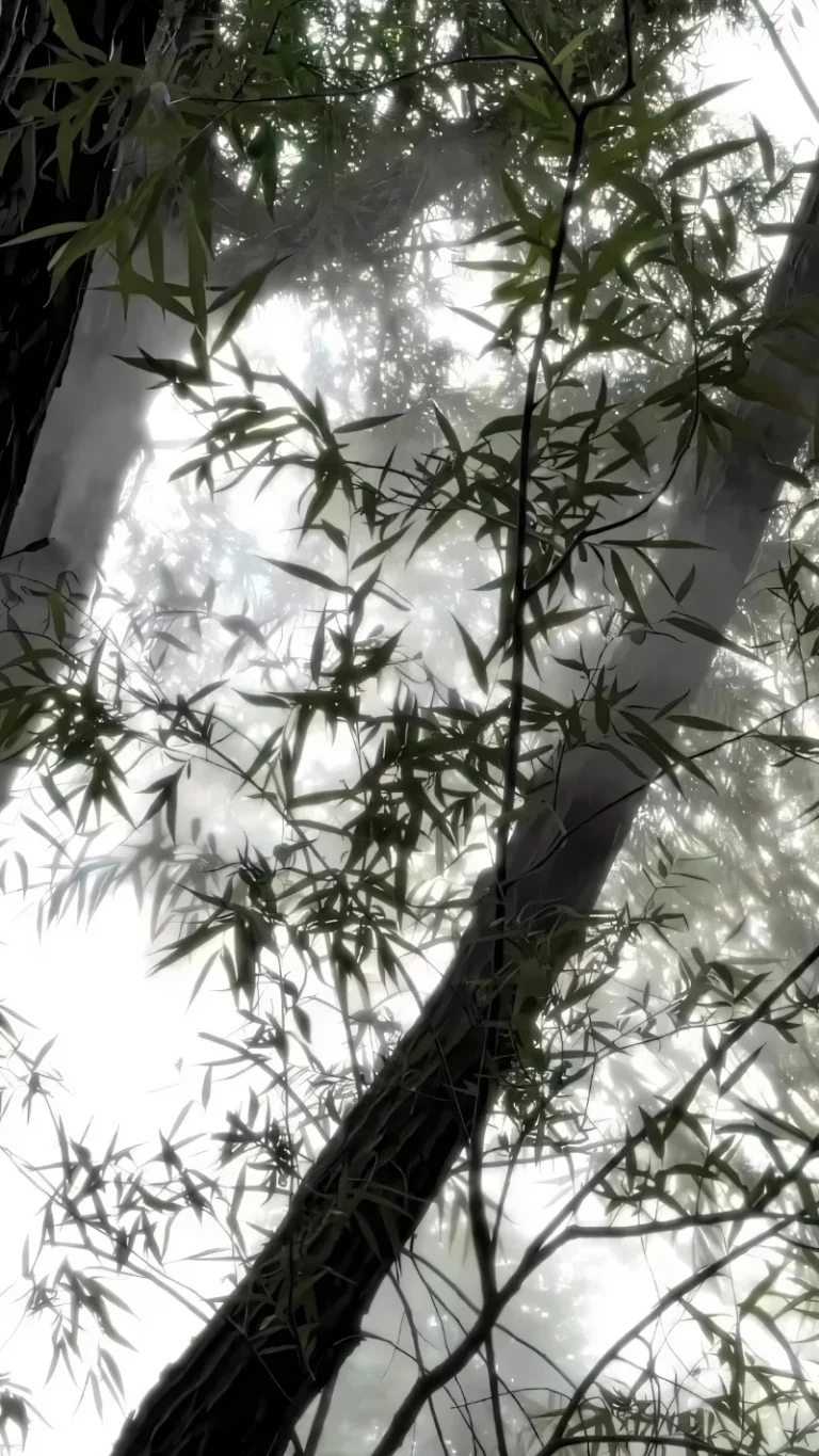 古风意境雾境竹林透光森系清冷唯美风景