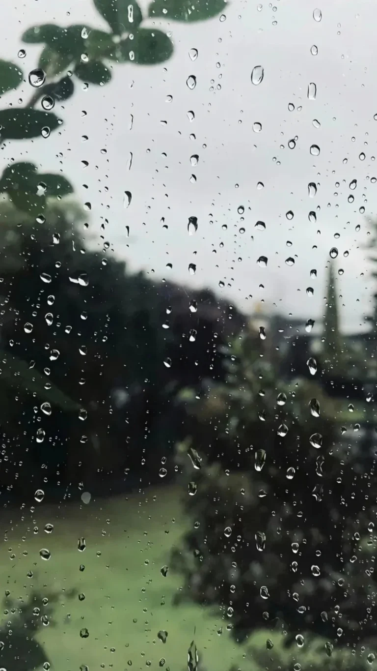 玻璃窗布满雨滴窗外朦胧绿植雨天氛围感