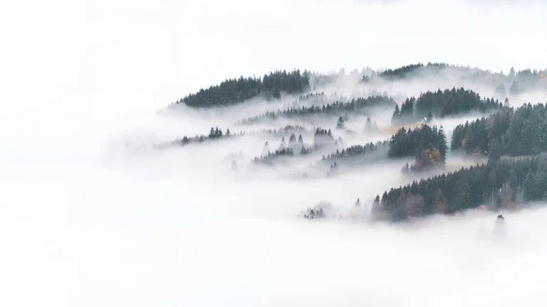极简留白雾海山林冷调小众治愈山间松林纯白云雾电脑高清 4K 电脑壁纸