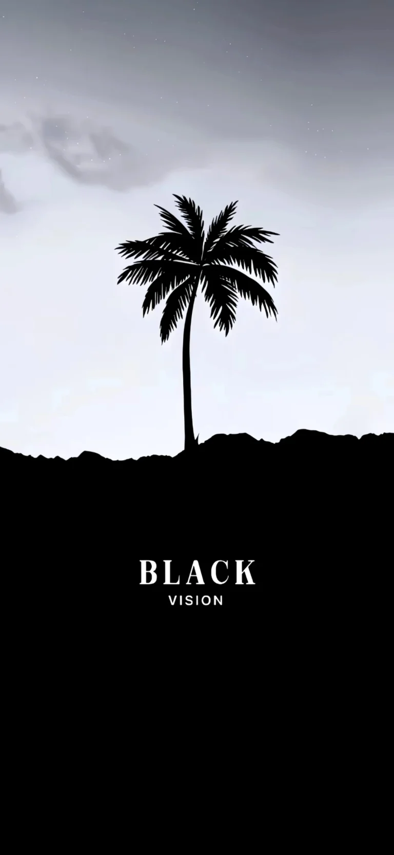 黑白极简棕榈树剪影 BLACK VISION 高清手机壁纸