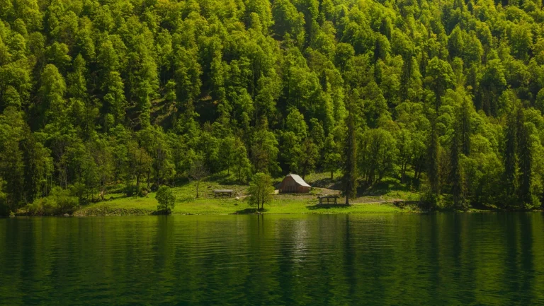 翠绿山林湖泊湖畔木屋静谧自然风光 4K 电脑壁纸
