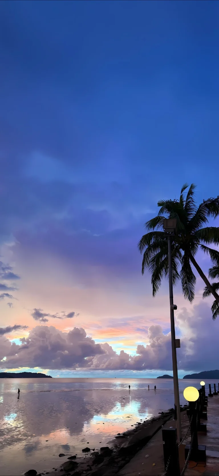 蓝紫黄昏海滩椰树海面倒影治愈风景高清手机壁纸