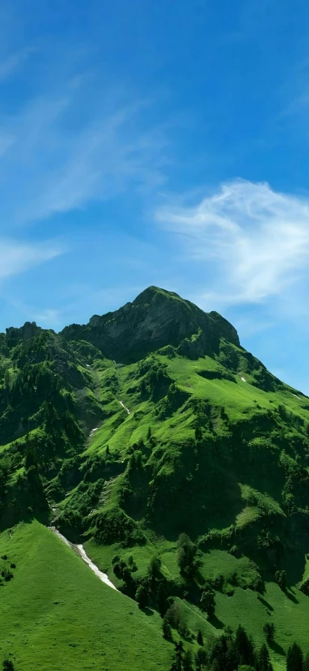 翠色山坡溪流高山治愈实拍手机壁纸