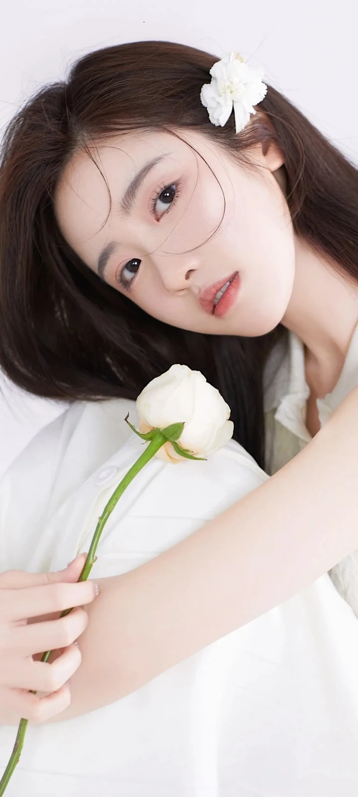 纯白背景白玫瑰温柔少女干净 4K 手机人像壁纸