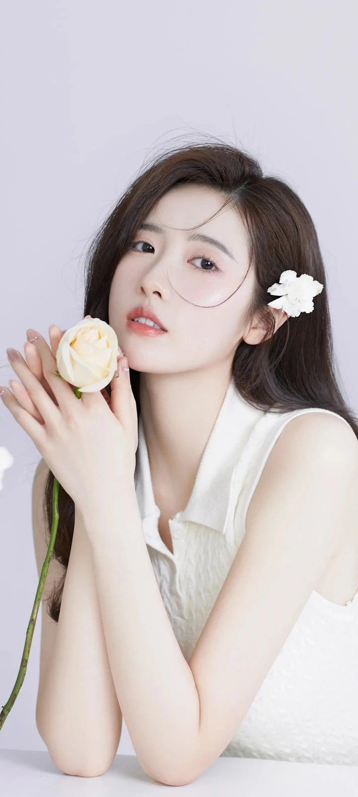 浅紫纯色背景白玫瑰白花温柔少女 4K 手机人像壁纸