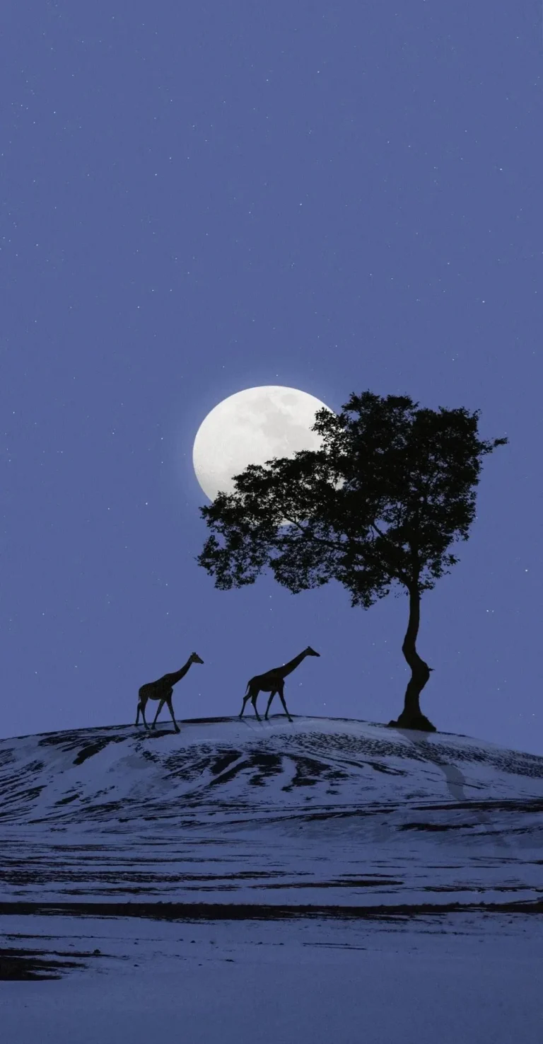 紫月夜孤树长颈鹿雪山剪影治愈竖版风景壁纸