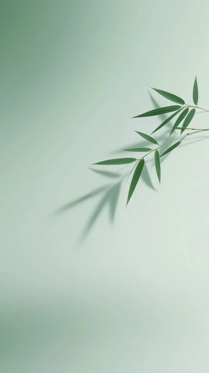 浅绿背景竹叶光影极简清新治愈自然静物