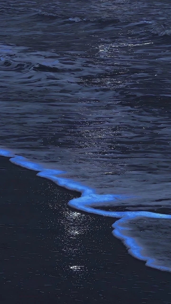 夜晚海边蓝眼泪荧光海浪静谧深蓝色海面治愈海景