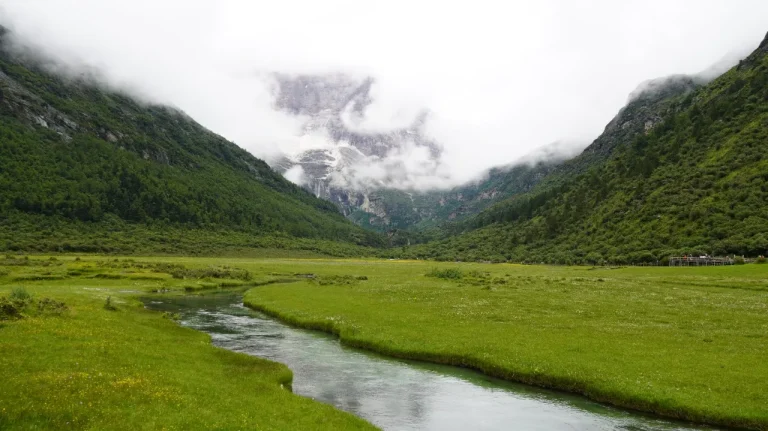 高山草甸蜿蜒溪流云雾缠绕巍峨雪山4K电脑壁纸
