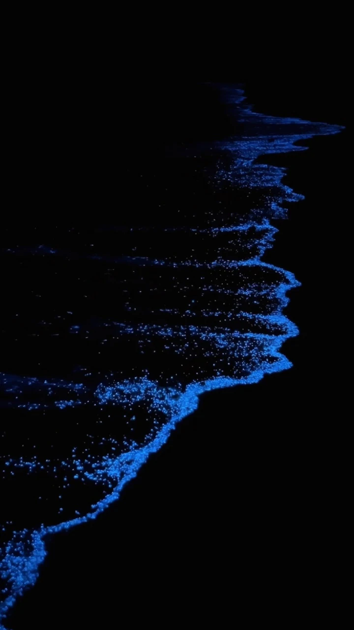 暗夜蓝色荧光海浪静谧神秘梦幻风景