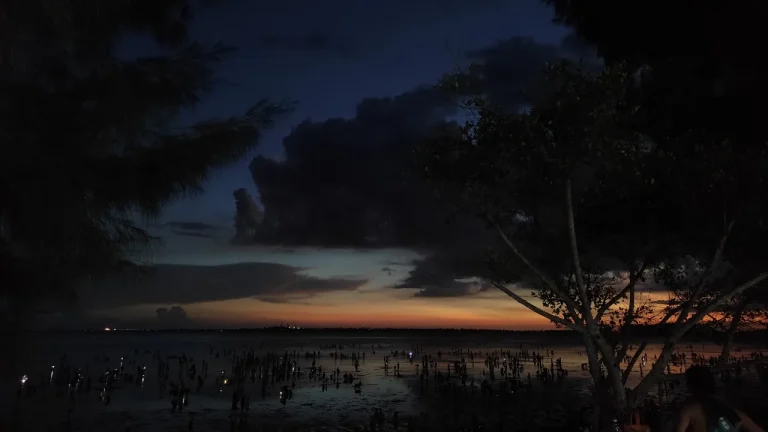 黄昏海边暮色人群夜色治愈海边风景4K电脑壁纸