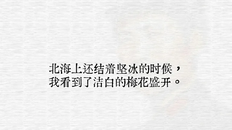 文字壁纸北海上结冰之时梅花悄然盛放4K电脑壁纸