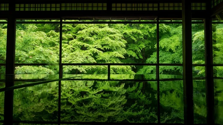 木屋窗棂满目翠林镜面静谧景致