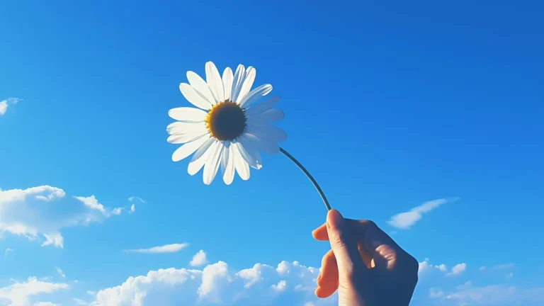 晴空下手持白色洋甘菊文艺氛围感场景
